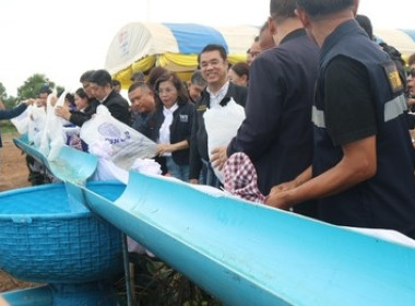 รัฐมนตรีว่าการกระทรวงเกษตรและสหกรณ์ลงพื้นที่จังหวัดสกลนคร ... พารามิเตอร์รูปภาพ 6