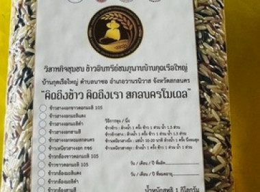 ร่วมลงพื้นที่วิสาหกิจชุมชนที่ได้รับการคัดเลือกให้เข้าร่วมโครงการส่งเสริมและพัฒนาข้าว ... พารามิเตอร์รูปภาพ 5