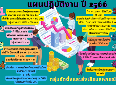 Infographic หน่วยงาน 66 พารามิเตอร์รูปภาพ 17