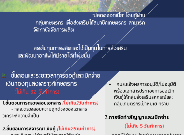 Infographic หน่วยงาน 66 พารามิเตอร์รูปภาพ 1