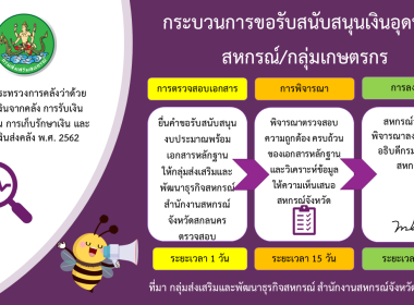 Infographic หน่วยงาน 66 พารามิเตอร์รูปภาพ 10