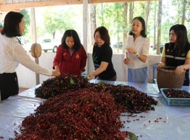 ประชุมแนวทางการดำเนินการและแก้ไขปัญหาของ ... พารามิเตอร์รูปภาพ 2