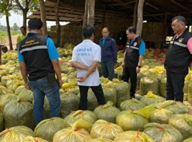 ผอ. กสส. 3 ร่วมประชุมเครือข่ายผู้ปลูกพืชอาหารสัตว์ ... พารามิเตอร์รูปภาพ 4