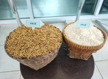 จัดอบรมโครงการบริหารจัดการหนี้และส่งเสริมอาชีพให้สมาชิกมีรายได้อย่างยั่งยืน ประจำปีงบประมาณ พ.ศ. 2568 ... พารามิเตอร์รูปภาพ 5