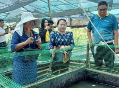 สหกรณ์จังหวัดสกลนครเข้าร่วมการตรวจประเมินพิจารณาคัดเลือกสหกรณ์และกลุ่มเกษตรกรต้นแบบที่น้อมนำหลักปรัชญาของเศรษฐกิจพอเพียงไปประยุกต์ใช้ในการดำเนินงาน ระดับเขต ... พารามิเตอร์รูปภาพ 6