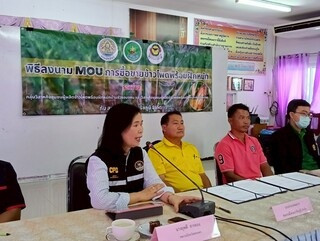 โครงการประชุมเชิงปฏิบัติการบริหารห่วงโซ่เย็น พารามิเตอร์รูปภาพ 1