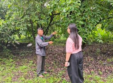 ติดตามการดำเนินงานระบบส่งเสริมเกษตรแบบแปลงใหญ่ : เม่า พารามิเตอร์รูปภาพ 4