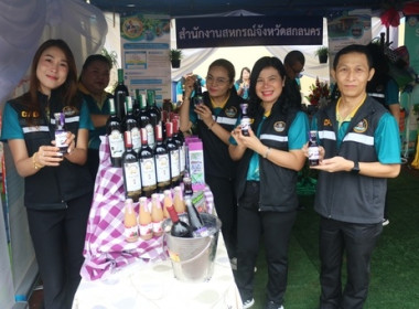 kick off ... พารามิเตอร์รูปภาพ 4