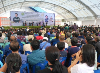 kick off ... พารามิเตอร์รูปภาพ 6