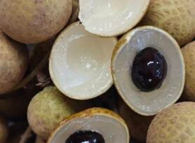 สกลนคร ร่วมใจ กระจายลำไย จ.พะเยา : ช่วยเหลือเกษตรชาวภาคเหนือ พารามิเตอร์รูปภาพ 7