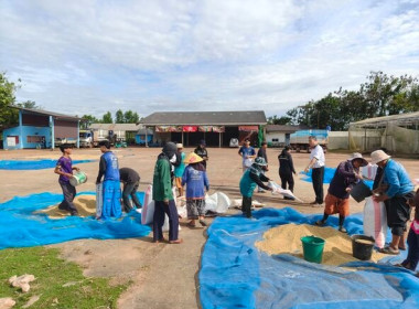 ลงพื้นที่ตรวจเยี่ยมจุดรับซื้อข้าวเปลือกและแนะนำการเข้าร่วมโครงการตามมาตรการรักษาเสถียรภาพราคาข้าวเปลือก ปีการผลิต 2568/69 ... พารามิเตอร์รูปภาพ 3