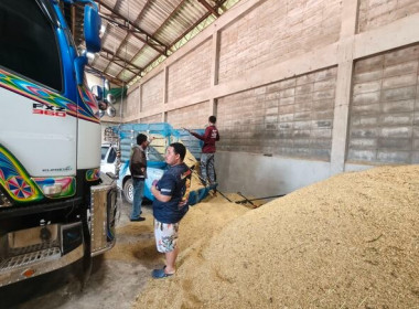 ลงพื้นที่ตรวจเยี่ยมจุดรับซื้อข้าวเปลือกและแนะนำการเข้าร่วมโครงการตามมาตรการรักษาเสถียรภาพราคาข้าวเปลือก ปีการผลิต 2568/69 ... พารามิเตอร์รูปภาพ 8