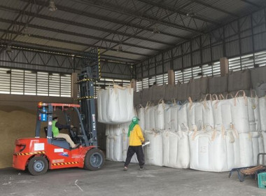 ลงพื้นที่ตรวจเยี่ยมและแนะนำการเข้าร่วมโครงการตามมาตรการรักษาเสถียรภาพราคาข้าวเปลือก ปีการผลิต 2568/69 ... พารามิเตอร์รูปภาพ 7