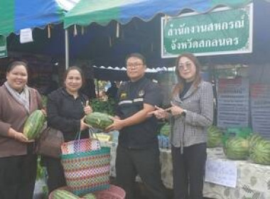 ออกหน่วยให้บริการตามโครงการจังหวัดเคลื่อนที่ ... พารามิเตอร์รูปภาพ 5