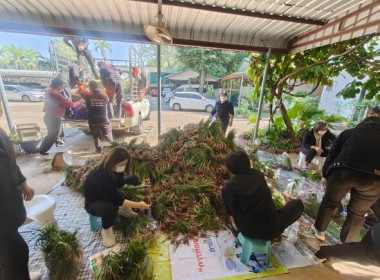 ร่วมกันบริหารจัดการกระจายผลผลิตหอมแดงสดจากแหล่งผลิตจังหวัดศรีสะเกษเข้าสู่พื้นที่จังหวัดสกลนคร ... พารามิเตอร์รูปภาพ 3