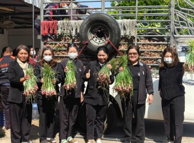 ร่วมกันบริหารจัดการกระจายผลผลิตหอมแดงสดจากแหล่งผลิตจังหวัดศรีสะเกษเข้าสู่พื้นที่จังหวัดสกลนคร ... พารามิเตอร์รูปภาพ 8
