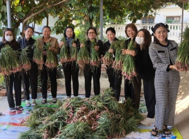 ร่วมกันบริหารจัดการกระจายผลผลิตหอมแดงสดจากแหล่งผลิตจังหวัดศรีสะเกษเข้าสู่พื้นที่จังหวัดสกลนคร ... พารามิเตอร์รูปภาพ 9