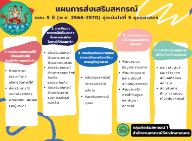 อินโฟกราฟิก ปี 2569 พารามิเตอร์รูปภาพ 12