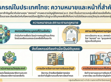 อินโฟกราฟิก ปี 2569 พารามิเตอร์รูปภาพ 15