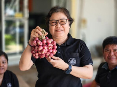 สกลนคร ใช้กลไกเครือข่ายระบายหอมแดงศรีสะเกษ 1 ตัน ... พารามิเตอร์รูปภาพ 1