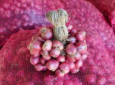 สกลนคร ใช้กลไกเครือข่ายระบายหอมแดงศรีสะเกษ 1 ตัน ... พารามิเตอร์รูปภาพ 5