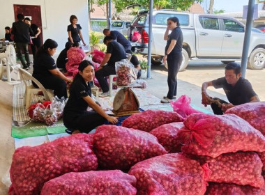 สกลนคร ใช้กลไกเครือข่ายระบายหอมแดงศรีสะเกษ 1 ตัน ... พารามิเตอร์รูปภาพ 4