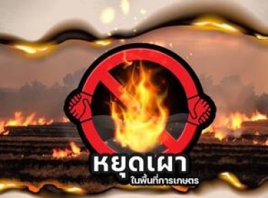 ร่วมจัดนิทรรศการ Green Gain Day ... พารามิเตอร์รูปภาพ 2